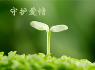 夫妻忠诚协议是否有效
